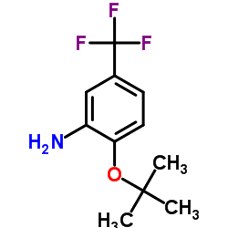 2-[(2-Methyl-2-propanyl)oxy]-5-(trifluoromethyl)aniline Structure