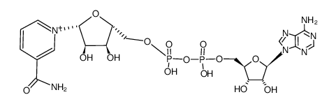 β-NADP+结构式