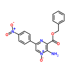 Benzyl 3-amino-6-(4-nitrophenyl)pyrazine-2-carboxylate 4-oxide结构式