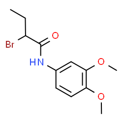 2-Bromo-N-(3,4-dimethoxyphenyl)butanamide Structure