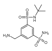5-aminomethyl-benzene-1,3-disulfonic acid 1-amide 3-tert-butylamide结构式