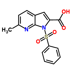 1-(Phenylsulphonyl)-6-Methyl-7-azaindole-2-carboxylic acid结构式