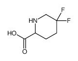 5,5-difluoropiperidine-2-carboxylic acid Structure