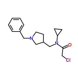 N-[(1-Benzyl-3-pyrrolidinyl)methyl]-2-chloro-N-cyclopropylacetamide Structure