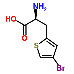 3-(4-Bromo-2-thienyl)-L-alanine结构式