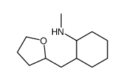 N-methyl-2-(oxolan-2-ylmethyl)cyclohexan-1-amine结构式