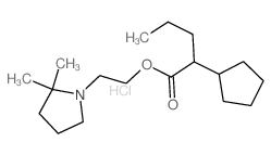 2-(2,2-dimethylpyrrolidin-1-yl)ethyl 2-cyclopentylpentanoate结构式