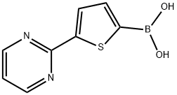 5-(Pyrimidin-2-yl)thiophene-2-boronic acid结构式