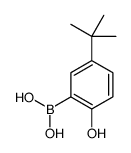 (5-(tert-butyl)-2-hydroxyphenyl)boronic acid structure