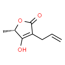 2(5H)-Furanone, 4-hydroxy-5-methyl-3-(2-propenyl)-, (5S)- (9CI) Structure