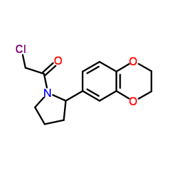 1-(chloroacetyl)-2-(2,3-dihydro-1,4-benzodioxin-6-yl)pyrrolidine picture