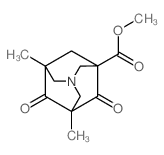 5,7-Dimethyl-4,6-dioxo-1-azaadamantan-3-carbonsaeure-methylester Structure