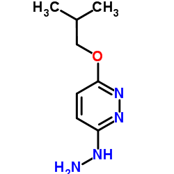 3-Hydrazino-6-isobutoxypyridazine结构式
