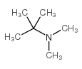 n,n-dimethyl-tert-butylamine picture
