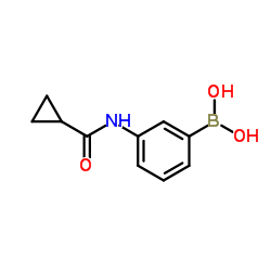 B-[3-[(cyclopropylcarbonyl)amino]phenyl]boronic acid structure