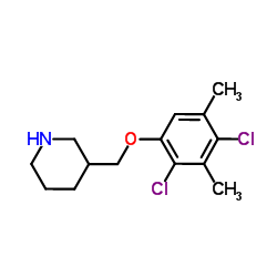 3-[(2,4-Dichloro-3,5-dimethylphenoxy)methyl]piperidine结构式