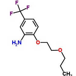 2-(2-Propoxyethoxy)-5-(trifluoromethyl)aniline Structure