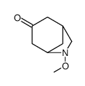 6-methoxy-6-azabicyclo[3.2.1]octan-3-one Structure