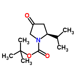 2-Methyl-2-propanyl (2S)-2-isopropyl-4-oxo-1-pyrrolidinecarboxylate结构式