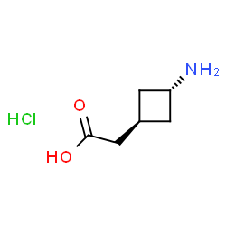 trans-(3-Aminocyclobutyl)acetic acid hydrochloride picture
