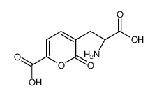 (αS)-α-Amino-6-carboxy-2-oxo-2H-pyran-3-propanoic acid Structure