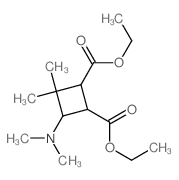 1,2-Cyclobutanedicarboxylicacid, 4-(dimethylamino)-3,3-dimethyl-, 1,2-diethyl ester structure