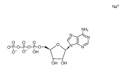Adenosine 5'-triphosphate结构式