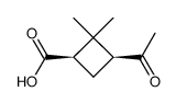 cis-norpinonic acid结构式