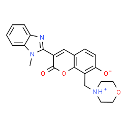 7-hydroxy-3-(1-methyl-1H-benzo[d]imidazol-2-yl)-8-(morpholinomethyl)-2H-chromen-2-one picture