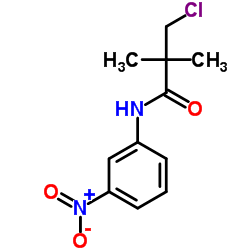 3-Chloro-2,2-dimethyl-N-(3-nitrophenyl)propanamide Structure
