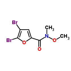 4,5-二溴-N-甲氧基-N-甲基-2-呋喃甲酰胺结构式