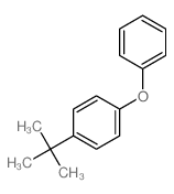 Benzene,1-(1,1-dimethylethyl)-4-phenoxy- picture