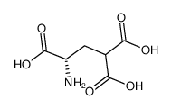 γ-carboxy-L-glutamic acid structure