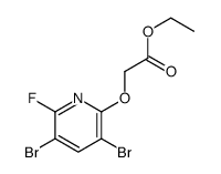 ethyl 2-(3,5-dibromo-6-fluoropyridin-2-yl)oxyacetate Structure