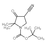 1-Boc-4-cyano-2,2-dimethyl-3-oxopyrrolidine structure