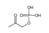 2-oxopropyl dihydrogen phosphate结构式