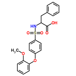 N-[4-(2-甲氧基苯氧基)苯基磺酰基]-DL-苯基丙氨酸结构式