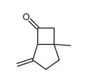 5-methyl-2-methylidenebicyclo[3.2.0]heptan-7-one Structure