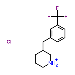 3-(3-(trifluoromethyl)benzyl)piperidine hydrochloride structure