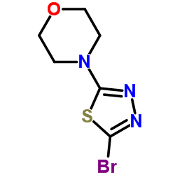 4-(5-Bromo-1,3,4-thiadiazol-2-yl)morpholine picture