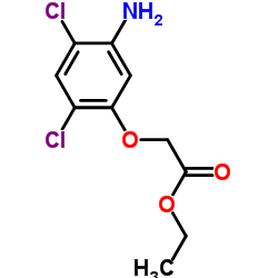 ETHYL 2-(5-AMINO-2,4-DICHLOROPHENOXY)ACETATE structure