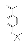 1-[4-(1,1-DIMETHYLETHOXY)PHENYL]-ETHANONE Structure