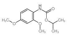 propan-2-yl N-(2,4-dimethoxyphenyl)carbamate结构式