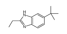 5-tert-Butyl-2-ethyl-1H-benzimidazole结构式