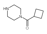 1-(cyclobutylcarbonyl)piperazine Structure