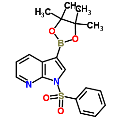 1-(Phenylsulfonyl)-3-(4,4,5,5-tetramethyl-1,3,2-dioxaborolan-2-yl)pyrrolo[2,3-b]pyridine picture