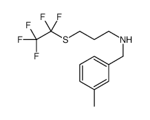 N-(3-Methylbenzyl)-3-[(pentafluoroethyl)sulfanyl]-1-propanamine结构式