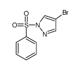 4-溴-1-(苯基磺酰基)吡唑图片