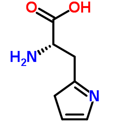 3-(3H-Pyrrol-2-yl)-L-alanine结构式