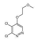 3,4-dichloro-5-(2-methoxyethoxy)pyridazine结构式